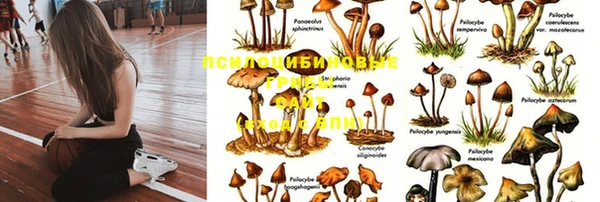 кокаин колумбия Балабаново