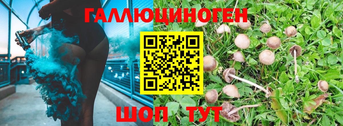Галлюциногенные грибы Cubensis  Вход с VPN  Балабаново 