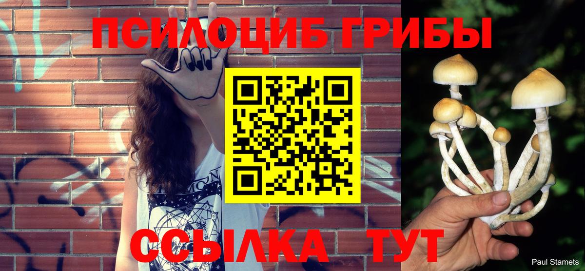 Псилоцибиновые грибы GOLDEN TEACHER Балабаново